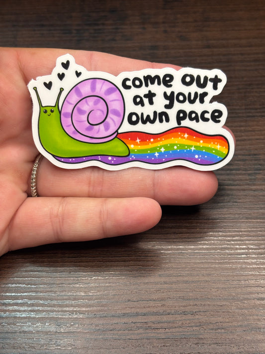 Come Out At Your Own Pace, Waterproof Sticker, Water Bottle Sticker, Kindle Sticker, Laptop Sticker, Pride Support, LGBTQ+ Stickers, Social Justice Stickers