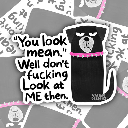 Don't Look At Me Then, Funny Waterproof Sticker
