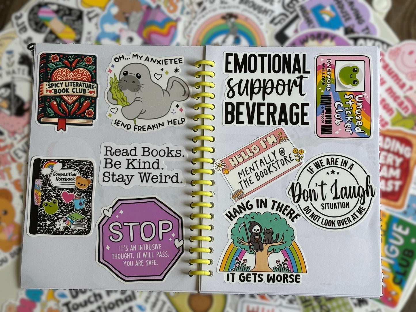 Snowflake Advisory,  Reusable Sticker Book Album