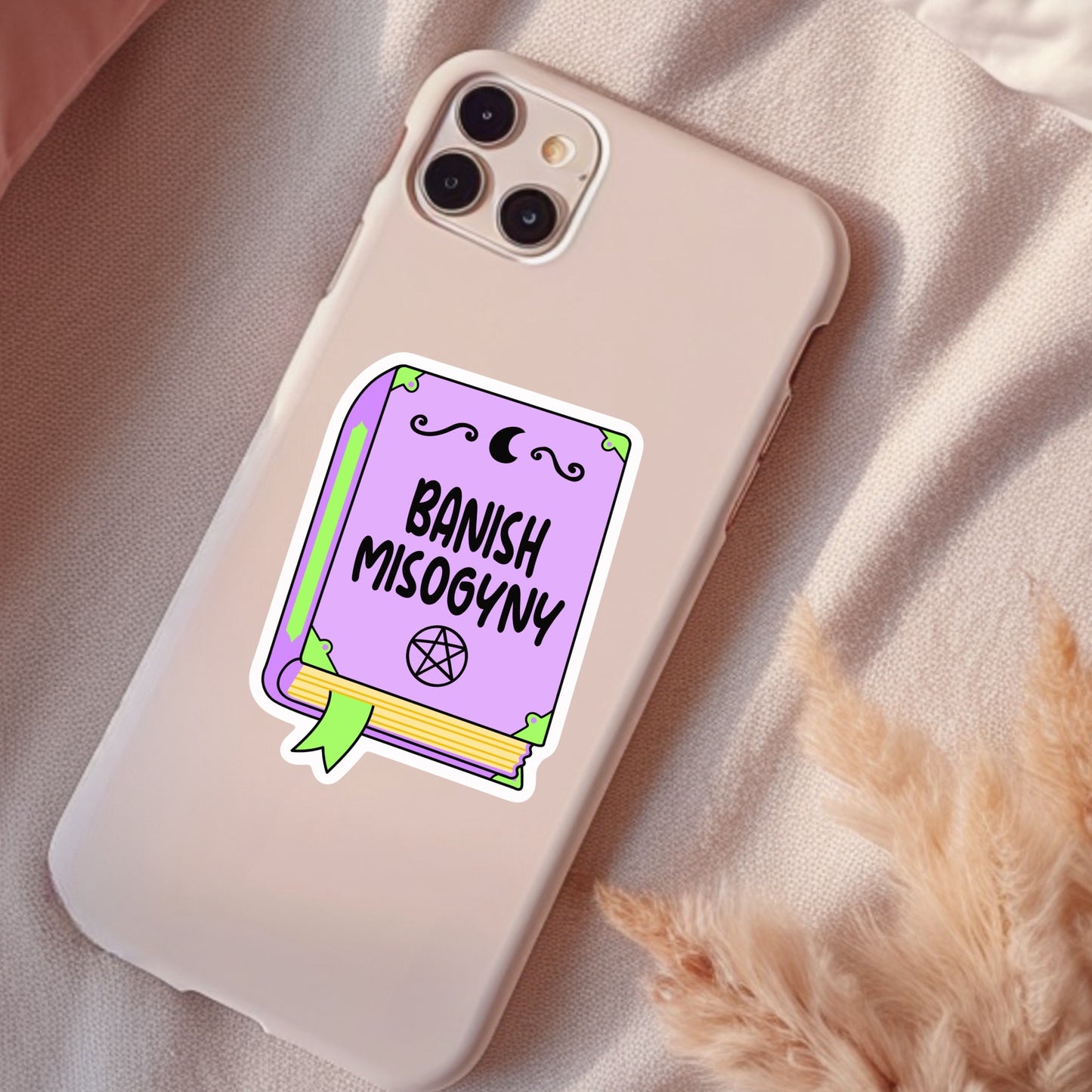 Banish Misogyny, Waterproof Sticker, Water Bottle Sticker, Kindle Sticker, Laptop Sticker, Social Justice Stickers, Feminist Stickers