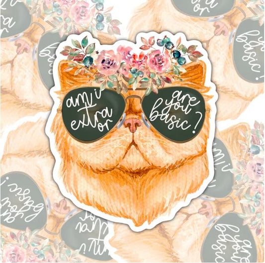Am I Extra Or Are You Basic, Funny Waterproof Sticker, Water Bottle Sticker, Kindle Sticker, Laptop Sticker