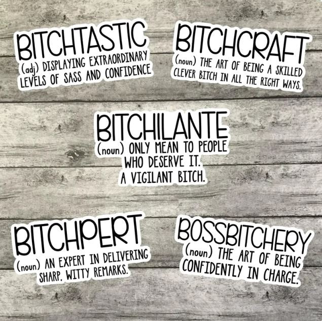 Bitchy Vocabulary Sticker Pack, Waterproof Sticker, Water Bottle Sticker, Kindle Sticker, Laptop Sticker