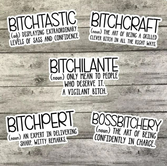 Bitchy Vocabulary Sticker Pack, Waterproof Sticker, Water Bottle Sticker, Kindle Sticker, Laptop Sticker