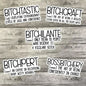 Bitchy Vocabulary Sticker Pack, Waterproof Sticker, Water Bottle Sticker, Kindle Sticker, Laptop Sticker