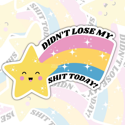 Didn't Lose My Shit Today, Funny Waterproof Sticker, Sarcastic Water Bottle Sticker, Kindle Sticker, Laptop Sticker