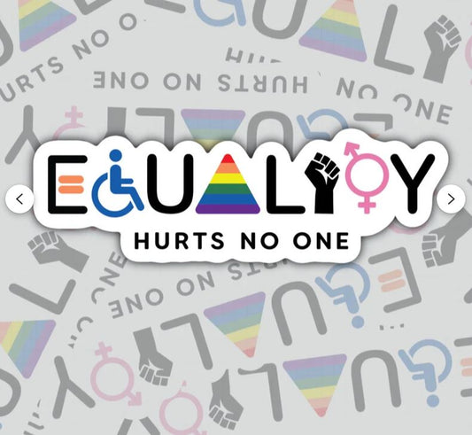 Equality Hurts No One, Waterproof Sticker, Water Bottle Sticker, Kindle Sticker, Laptop Sticker, Pride Support, LGBTQ+ Stickers, Social Justice Stickers