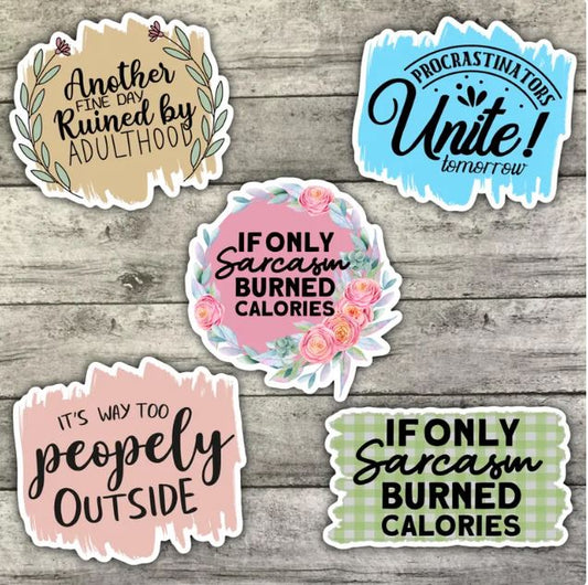 Funny Adult Sticker Pack, Waterproof Stickers, Water Bottle Sticker, Kindle Sticker, Laptop Sticker
