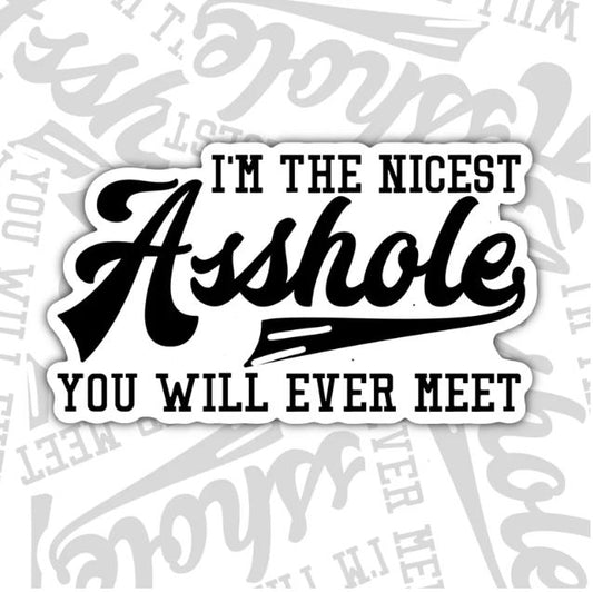 The Nicest Asshole You'll Meet, Funny Waterproof Sticker, Offensive Water Bottle Sticker, Sarcastic Kindle Sticker, Laptop Sticker