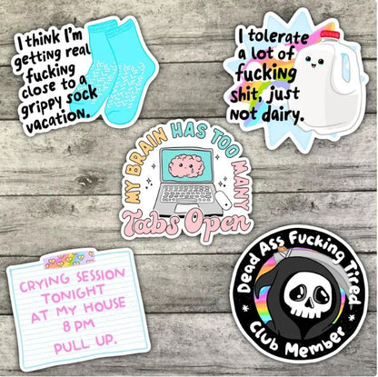 Humorous Sarcastic Sticker Pack, Waterproof Stickers, Water Bottle Sticker, Kindle Sticker, Laptop Sticker