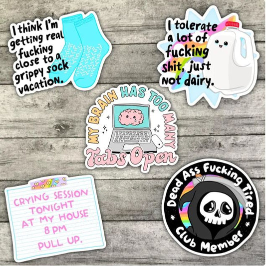 Humorous Sarcastic Sticker Pack, Waterproof Stickers, Water Bottle Sticker, Kindle Sticker, Laptop Sticker