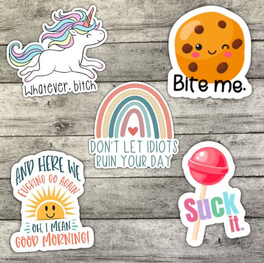 Offensive Sarcastic Funny Sticker Pack, Waterproof Stickers, Water Bottle Sticker, Kindle Sticker, Laptop Sticker