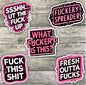 Fuck This Sticker Pack, Funny Offensive Waterproof Stickers, Water Bottle Sticker, Kindle Sticker, Laptop Sticker