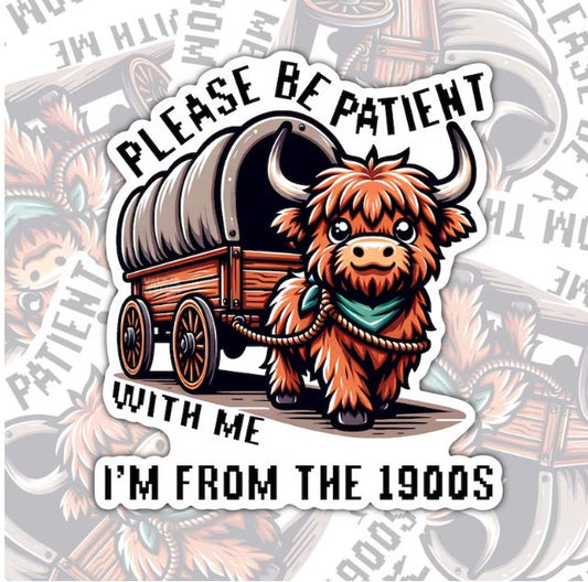 Please Be Patient With Me, Funny Waterproof Sticker, Sarcastic Water Bottle Sticker, 1900's Kindle Sticker, Laptop Sticker